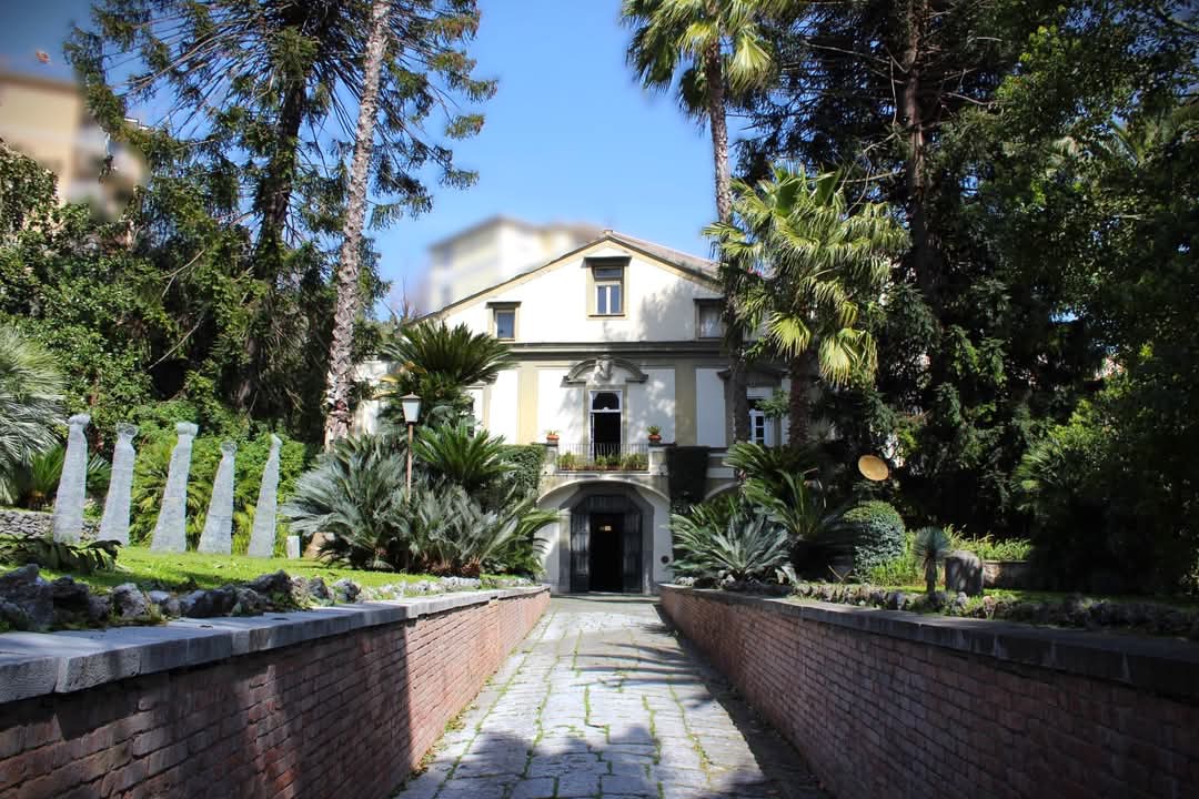 WhatsApp Image 2026-03-01 at 20.25.28